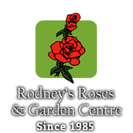 Rodneys Roses